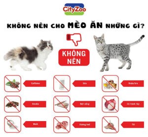 Thực phẩm nguy hiểm cho mèo