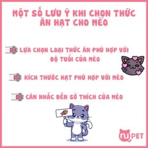 Những lưu ý cho mèo