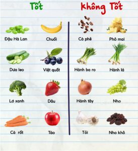 Những thực phẩm an toàn cho mèo