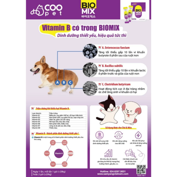 Men tiêu hóa BIO 3 PET