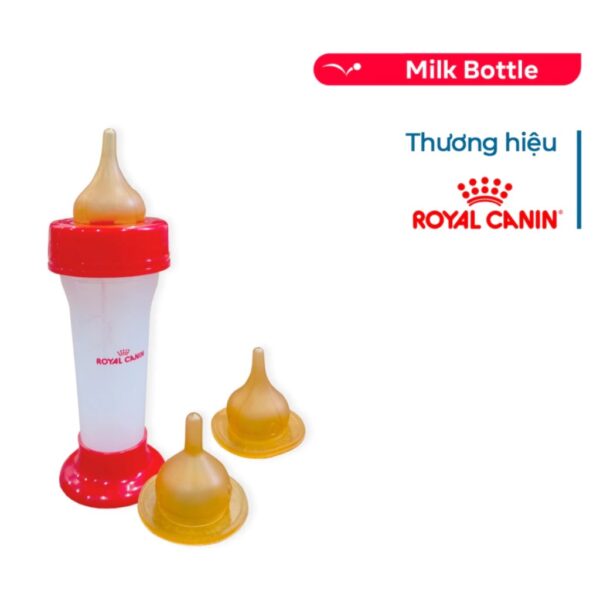 Bộ bình ti