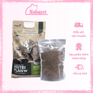 Hạt Nutri Plan