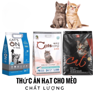 Các Dòng Hạt Mèo Hàn Quốc Đáng Thử