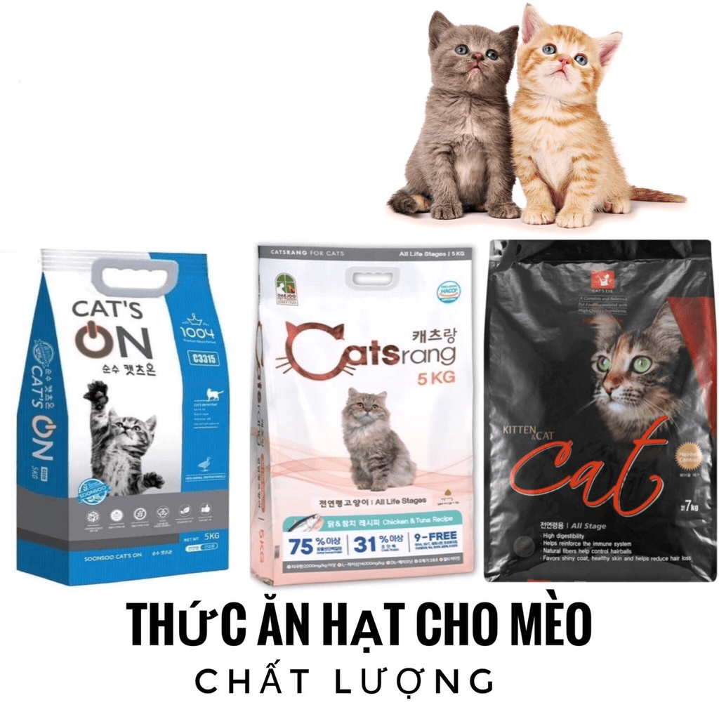 Các Dòng Hạt Mèo Hàn Quốc Đáng Thử
