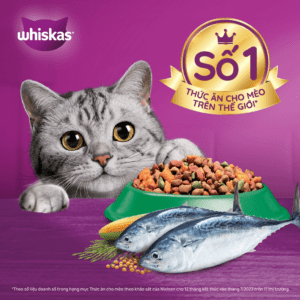 Lợi Ích Đa Dạng Của Hạt Mèo Whiskas Giá Rẻ