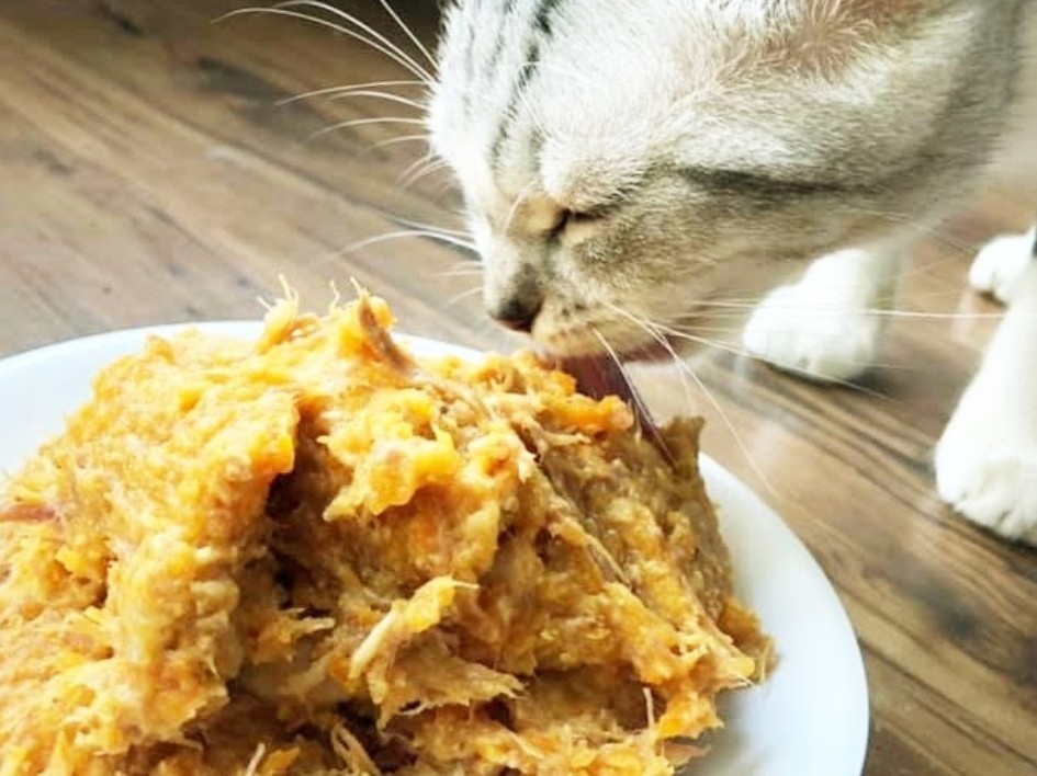Lợi Ích Của Pate Tươi Tốt Cho Mèo